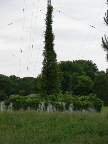 Tower 3
