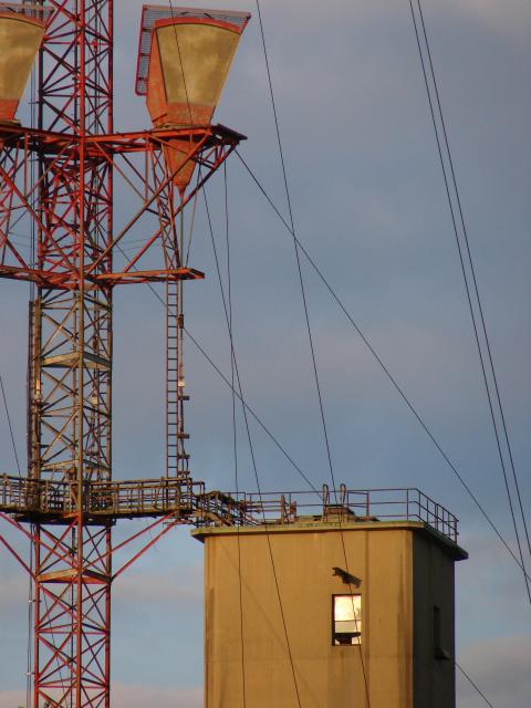 Roof and feedlines